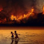 Ruim 2000 bosbranden in Brazilië 14