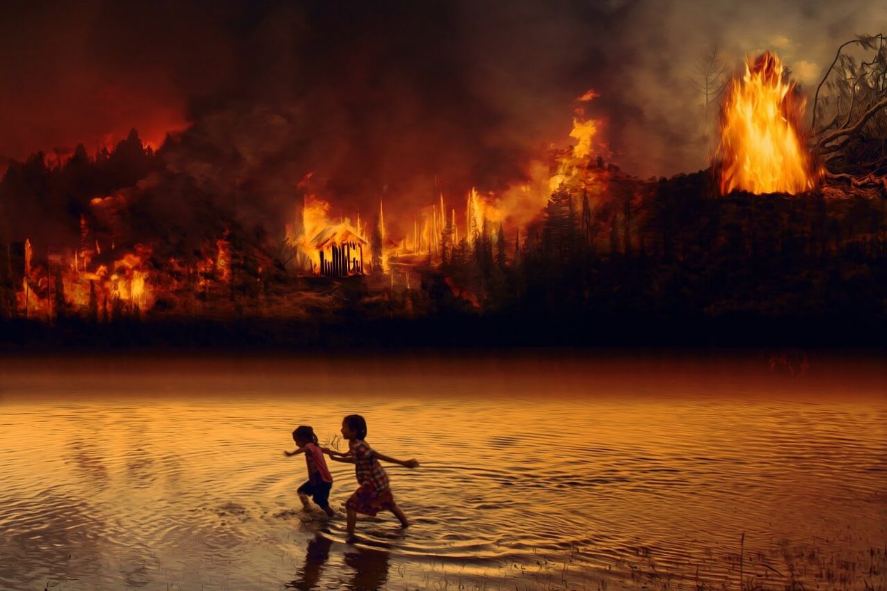 Ruim 2000 bosbranden in Brazilië 16