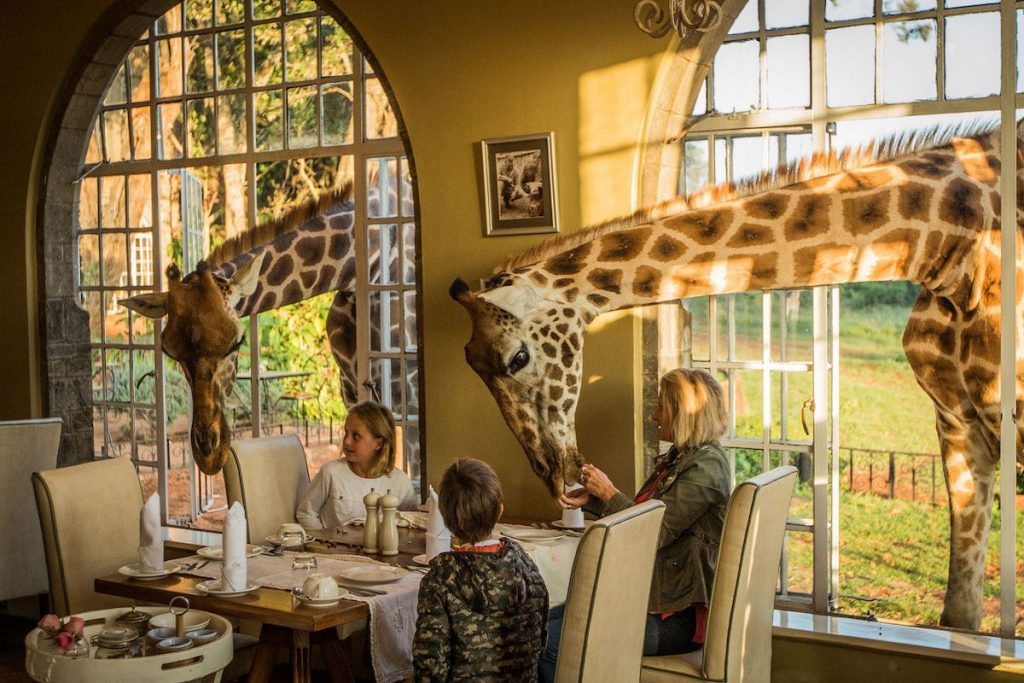 Giraffe Manor, Kenia 10
