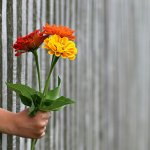 Waarom bloemen bezorgen altijd een goed idee is 15