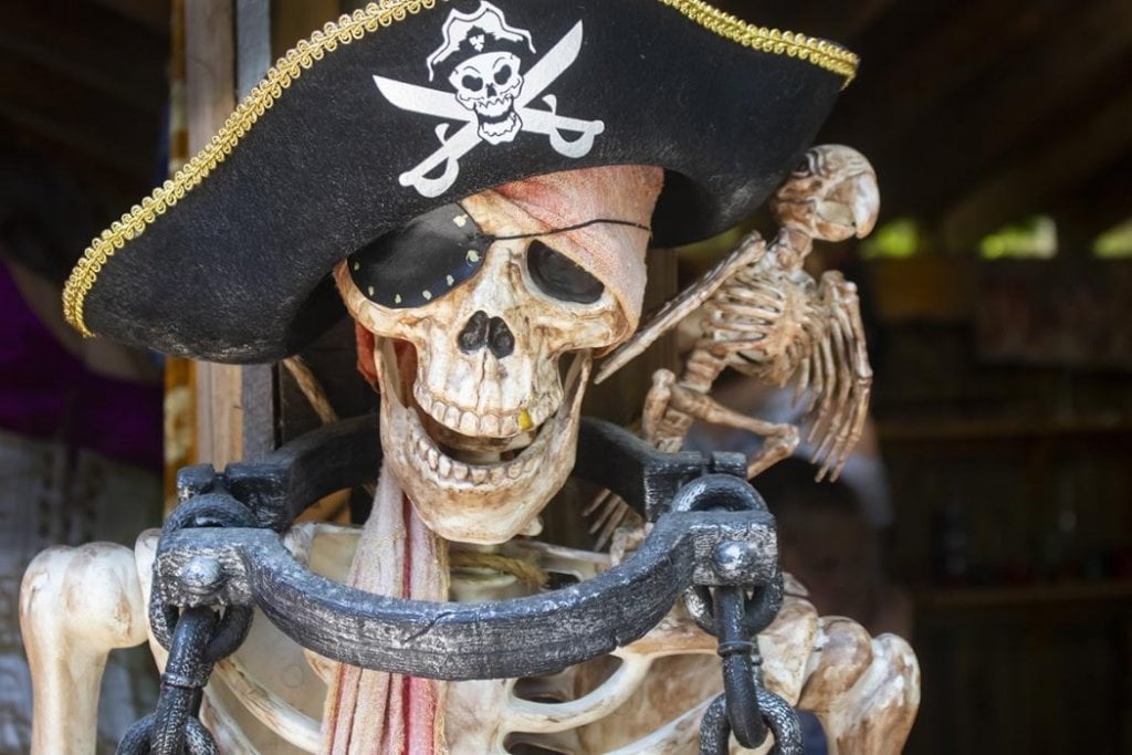 Dit wist je nog niet over piraten 17