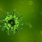 Eerste besmetting coronavirus in Duitsland 13