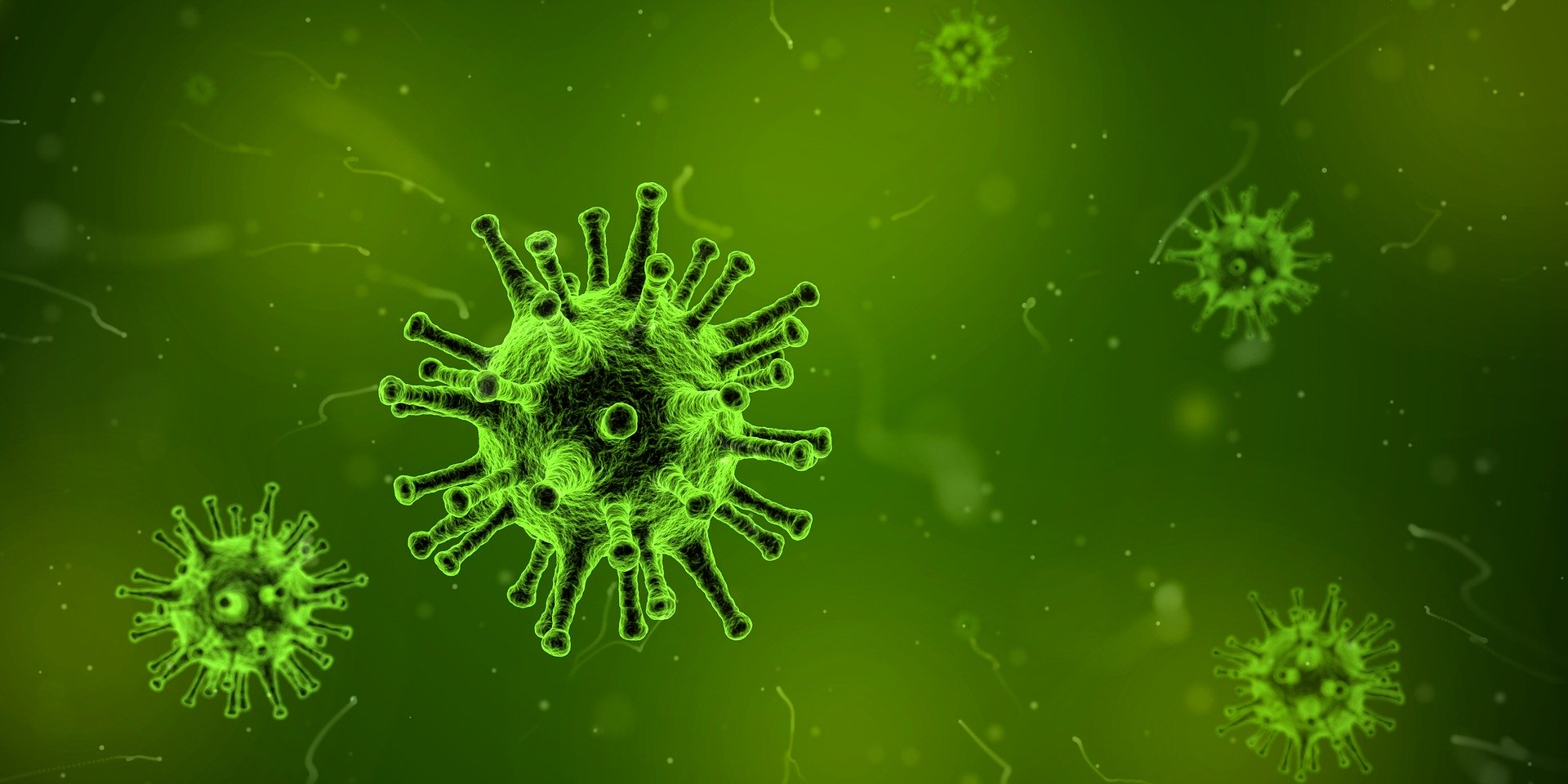 Eerste besmetting coronavirus in Duitsland 14
