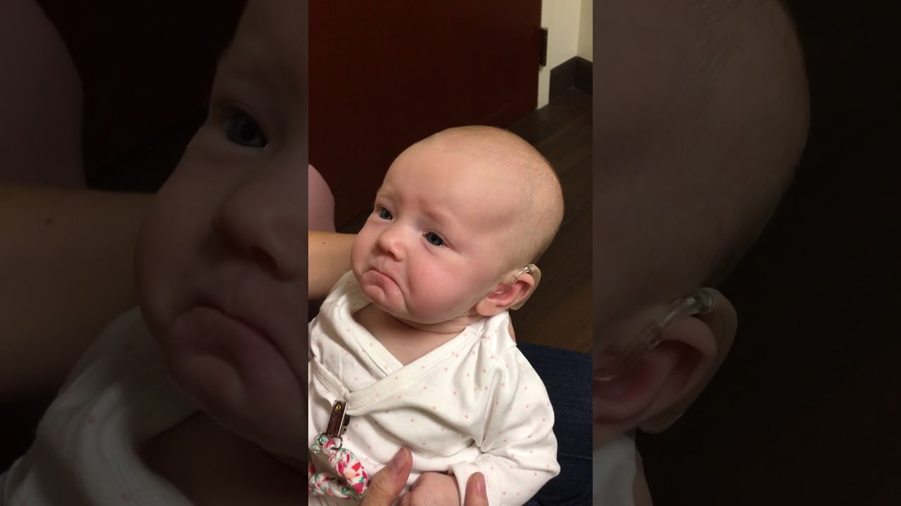 Dove baby hoort zijn moeder voor de eerste keer 12