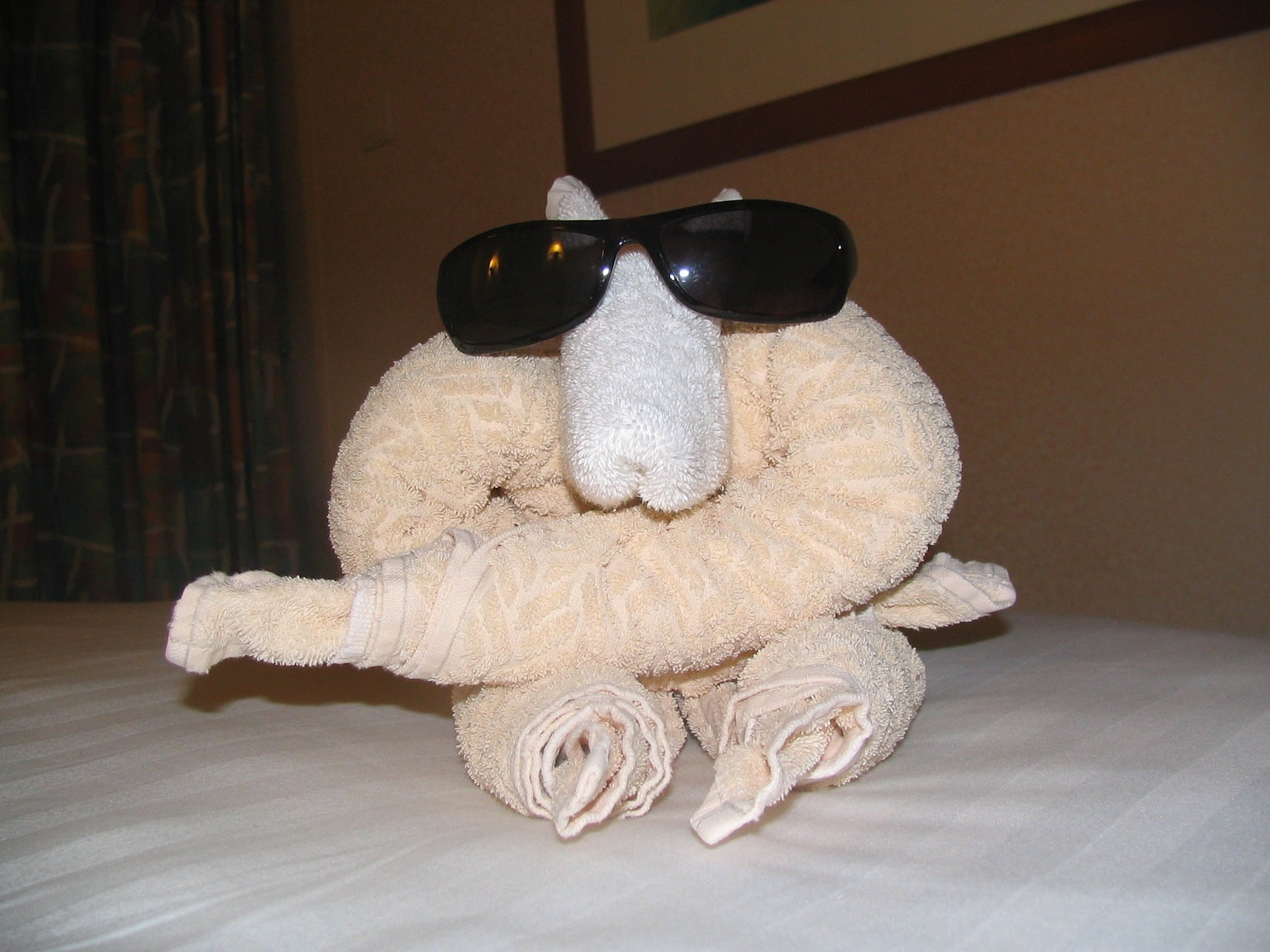 De allerleukste handdoekdieren in hotels 14