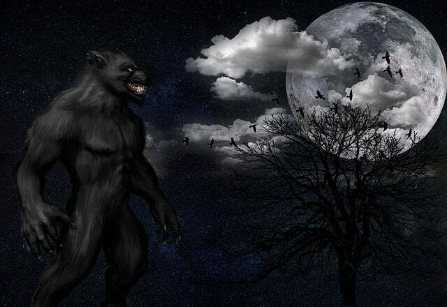 Klinische lycantropie: van mens naar weerwolf 15