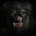 Klinische lycantropie: van mens naar weerwolf 18