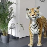 Een tijger in je woonkamer 18