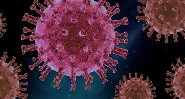 In welke Chinese stad is het Corona virus in 2019 begonnen? 13