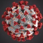 vrijwillig besmet coronavirus