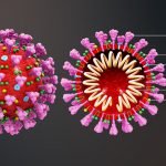 Coronavirus mutatie maakt het virus nog besmettelijker 14