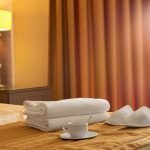 Bed vol poep en een gewonde gans in een koffer in hotel Vlissingen 33