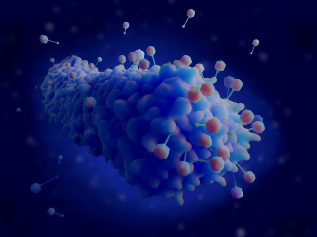 Zijn bacteriofagen de toekomst van de geneeskunde? 16