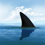 De vijf gevaarlijkste haaien ter wereld