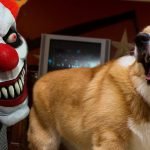 Honden schrikken zich kapot met Halloween 17