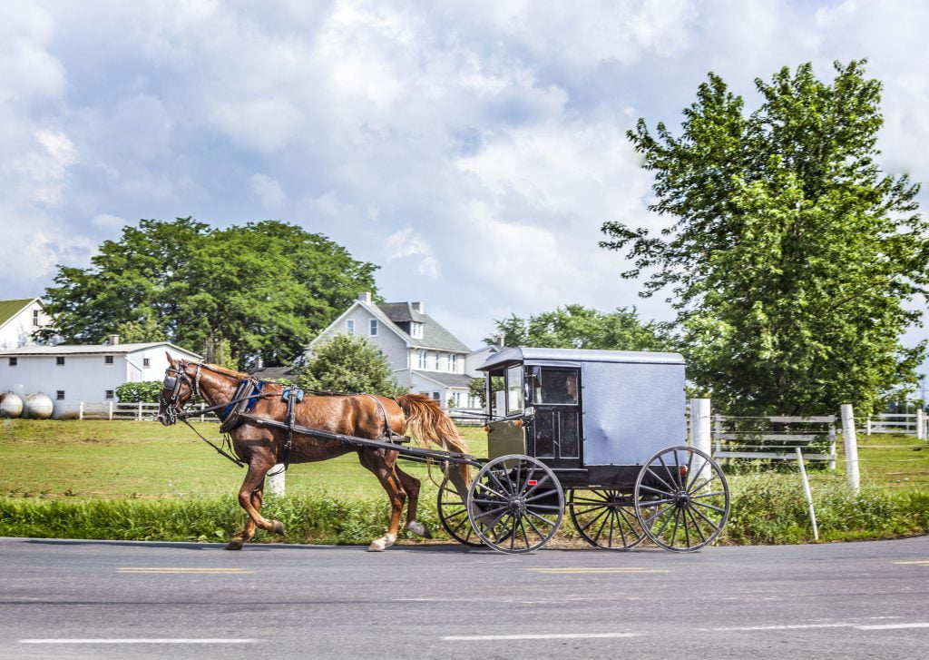 De Amish, wat voor mensen zijn dat en hoe leven ze? 13