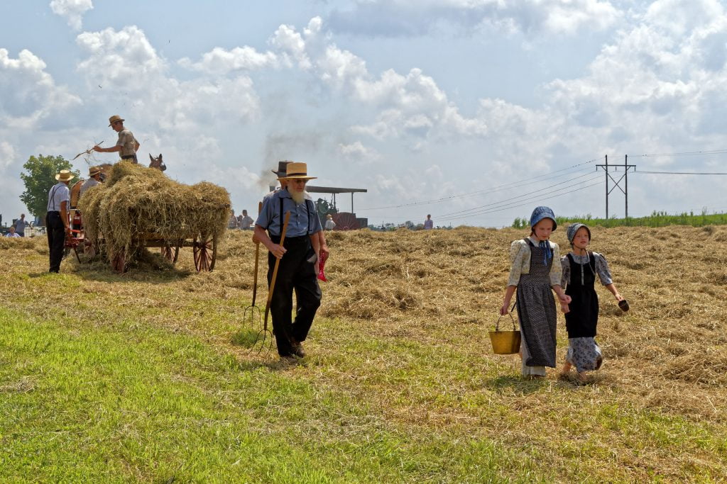 Amish op het veld