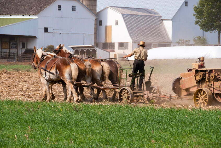 De Amish, wat voor mensen zijn dat en hoe leven ze? 14