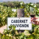 8 Heerlijke Zuid-Afrikaanse wijntjes 14