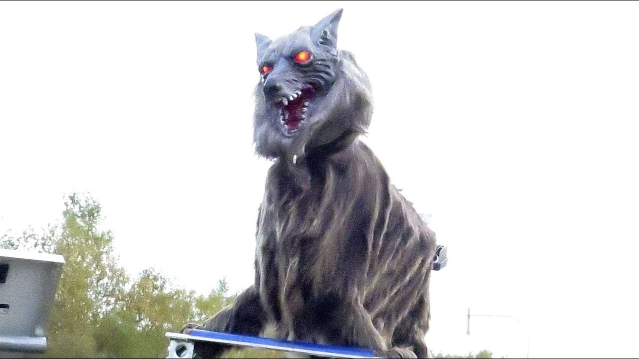Zien: Japans dorpje gebruikt monster wolf robot om beren af te schrikken 18