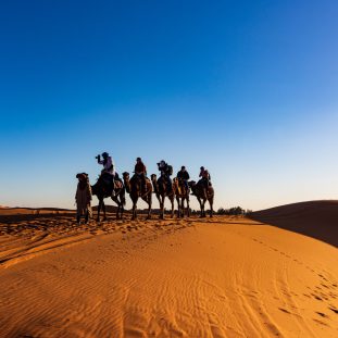 Kamelentocht door de Sahara 15