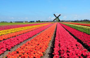 10 leuke hotspots in Nederland 14