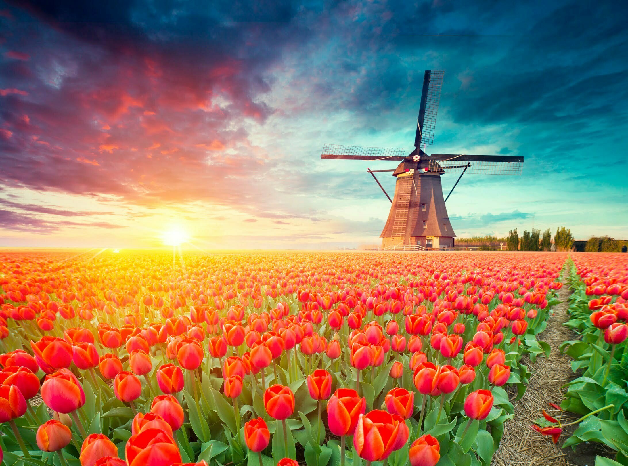 Topografie Quiz: Welke Nederlandse stad ligt hier? 10