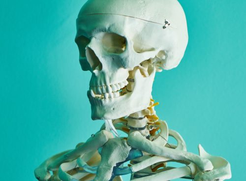 Quizzes 35 Quizzes 33