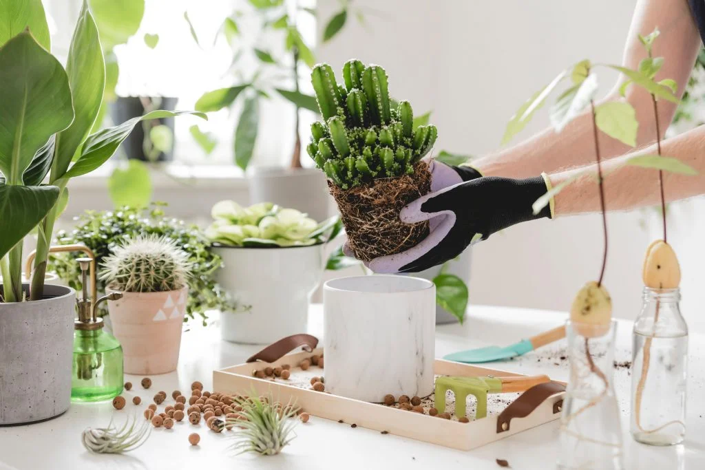 Plantendag