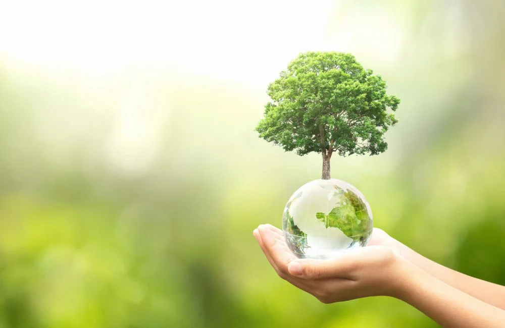 Plantendag, wat is het en 10 bijzondere weetjes over planten
