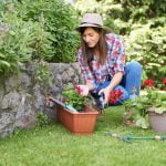 10 tips om de tuin zomerproof te maken 13