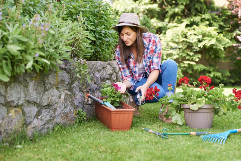 10 tips om de tuin zomerproof te maken 16