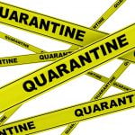 Boa’s controleren quarantaine plicht en delen boetes uit 13