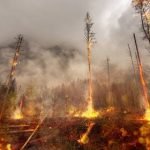 Vreselijke bosbranden teisteren Turkije 13
