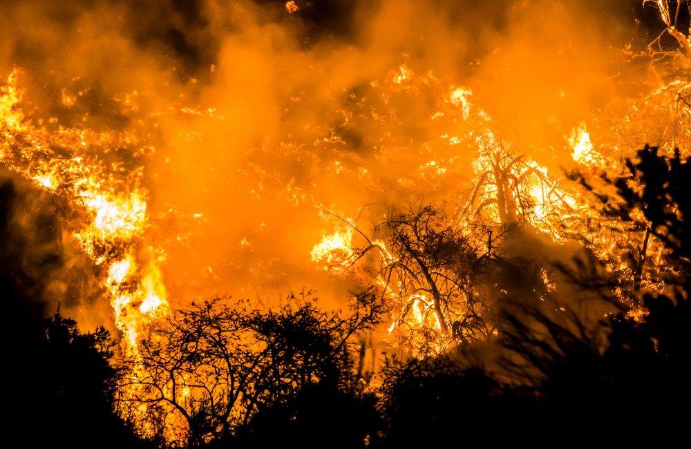 Het Griekse eiland Evia wordt geteisterd door natuurbranden 12