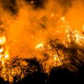 Het Griekse eiland Evia wordt geteisterd door natuurbranden 8