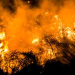 Het Griekse eiland Evia wordt geteisterd door natuurbranden 18