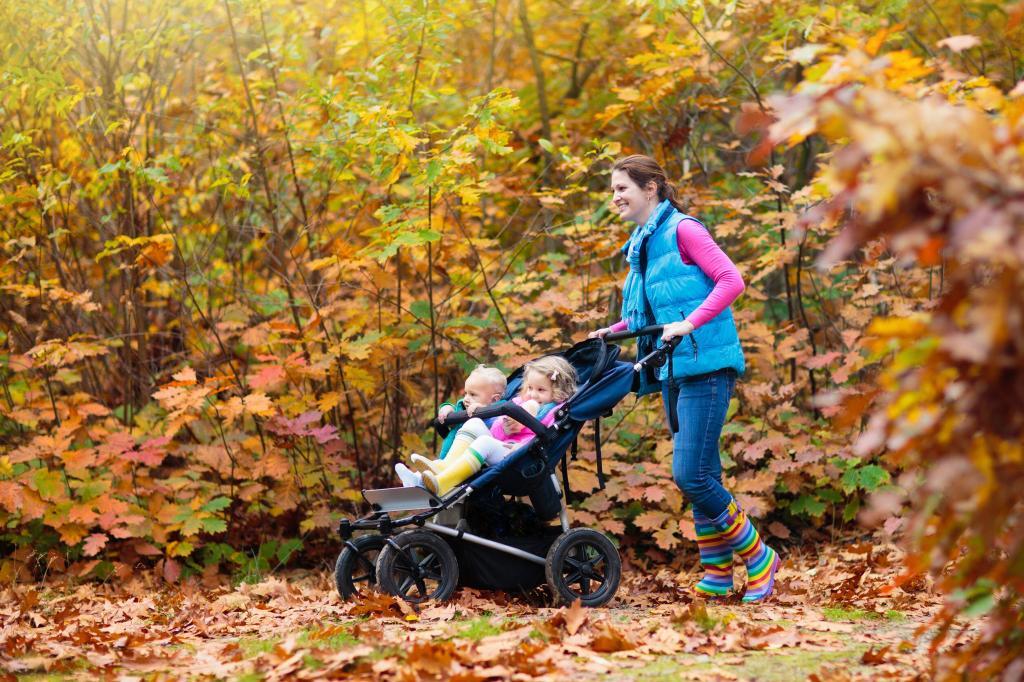 Kinderwagen in het bos