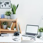 Voordelen van planten op het kantoor 12