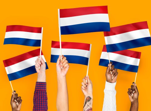 Quizzes 44 Quizzes 42