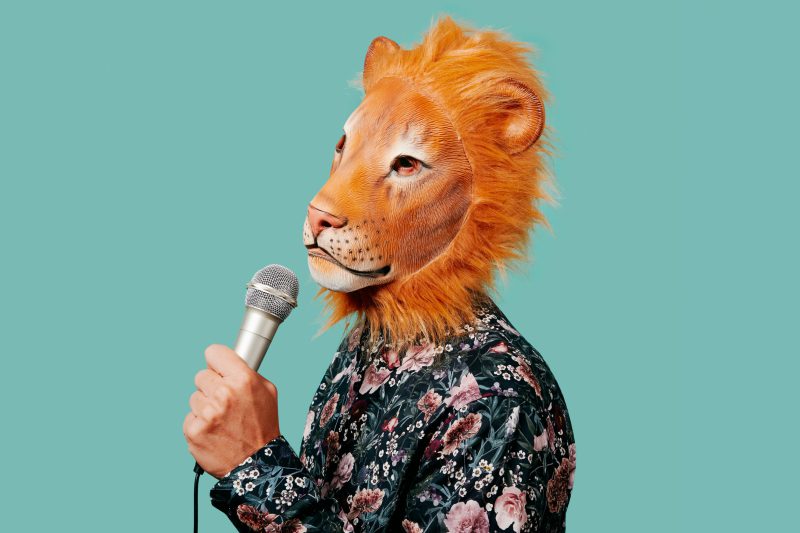 Deze beroemdheden hebben meegedaan aan The Masked Singer 27