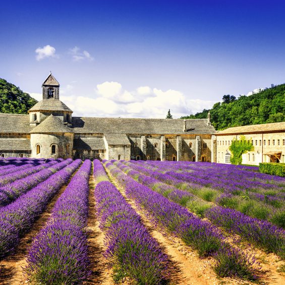 Provence - Frankrijk 25