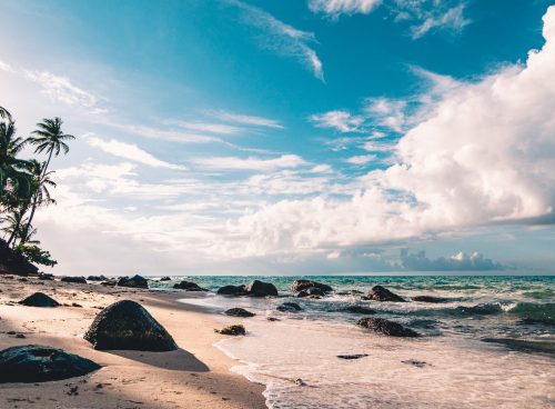 Quizzes 33 Quizzes 32