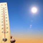 Zomer in Nederland: Wat is de warmste zomer in Nederland geweest? 25