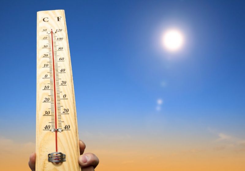Zomer in Nederland: Wat is de warmste zomer in Nederland geweest? 12
