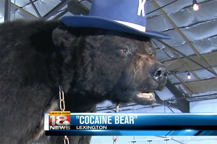 cocaine bear lexington