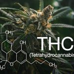 De belangrijkste gezondheidsvoordelen van THC 17