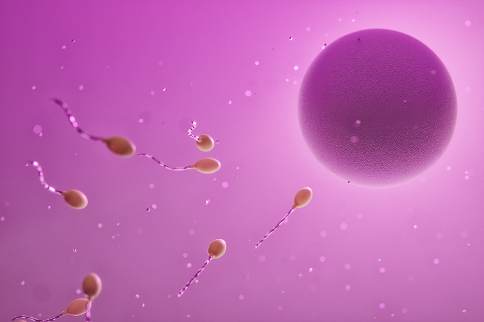 spermadonor sperma donatie