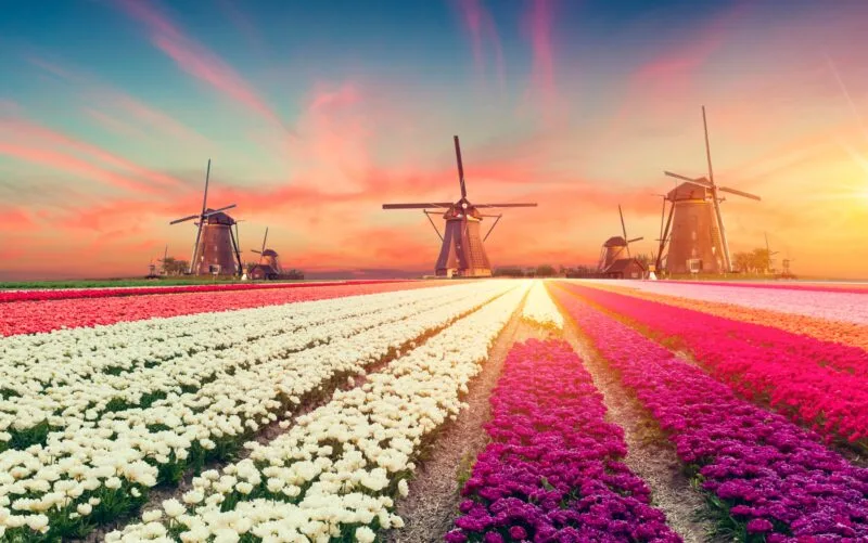 THIS IS HOLLAND laat jou Nederland ervaren vanuit de lucht 31