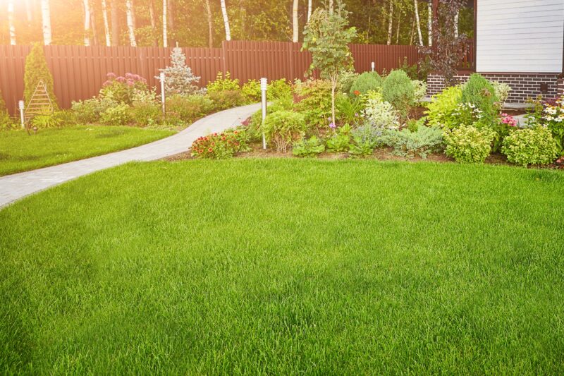 Geef je tuin een frisse start: Ontdek de gemakken en voordelen van graszoden 14